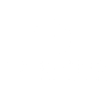 TD_Gaming_logo_wit